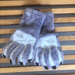 The north face gloves